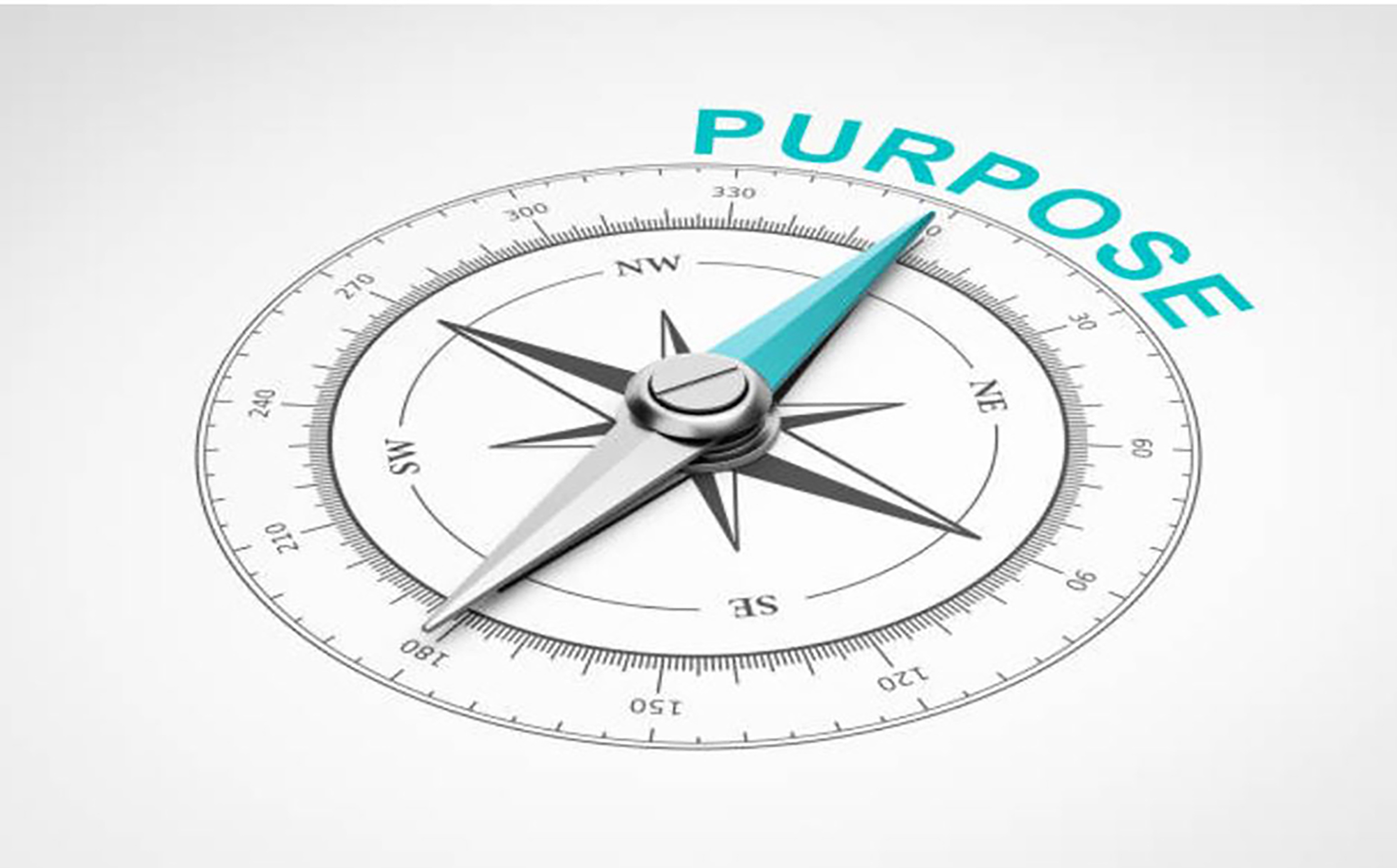 Purpose 1.jpg